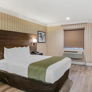 Standard Room 1 Queen Bed Non Smoking